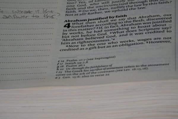 Photo Tax forms