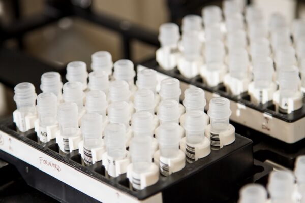 Photo DNA sequencing