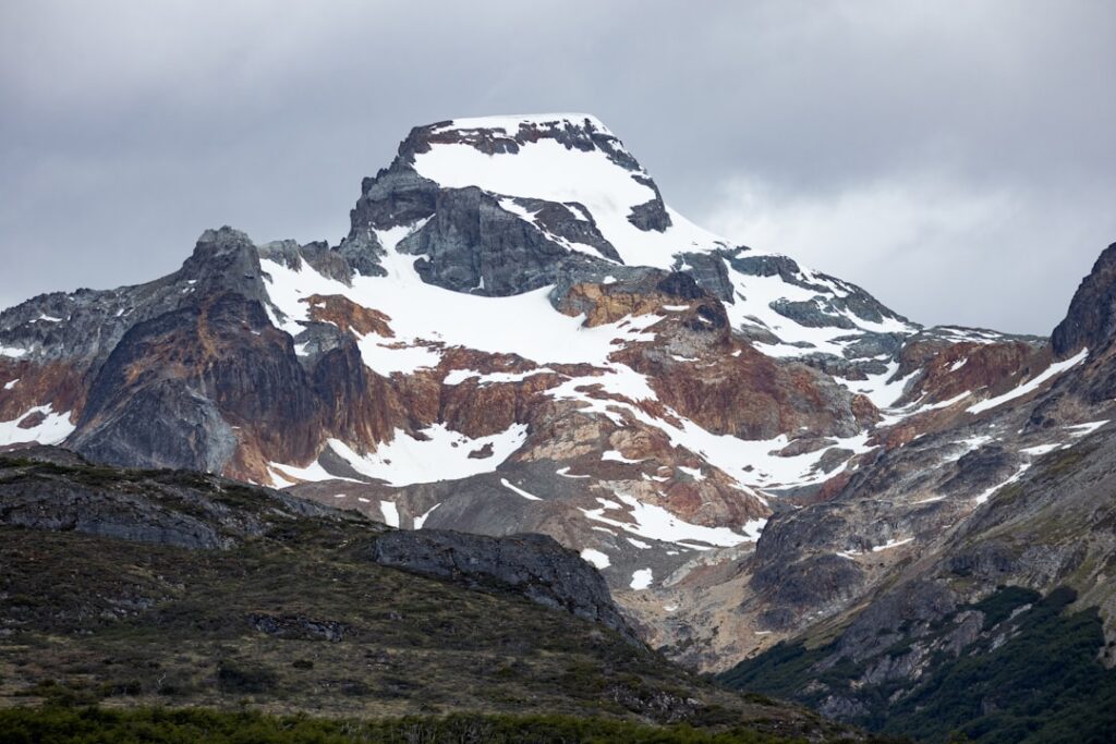 Photo Patagonias logo