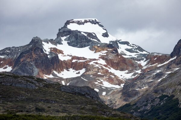 Photo Patagonias logo