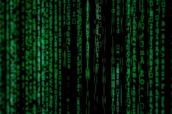 Photo Data Virtualization