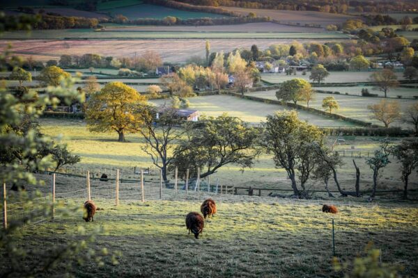 Photo English countryside