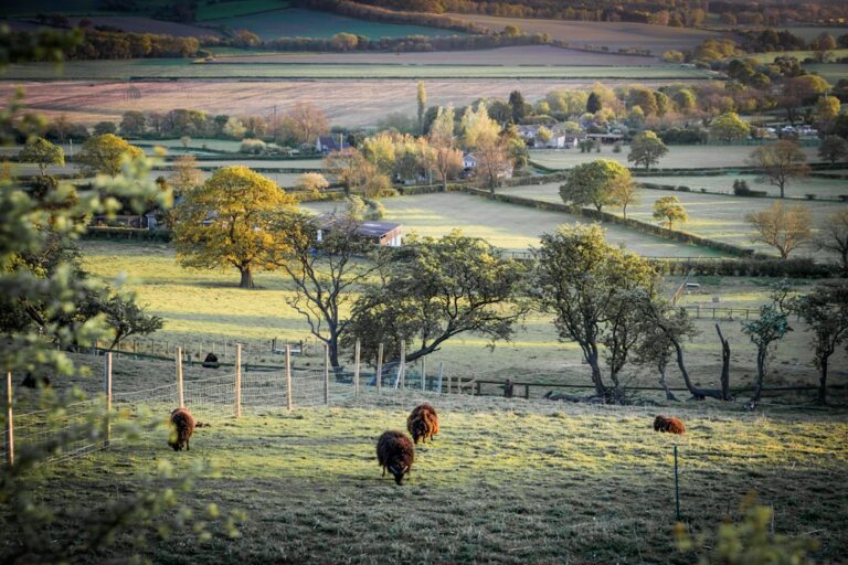 Photo English countryside