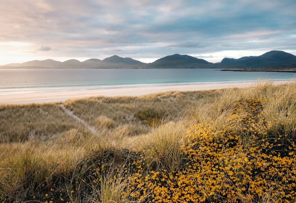 Photo Landscape photography