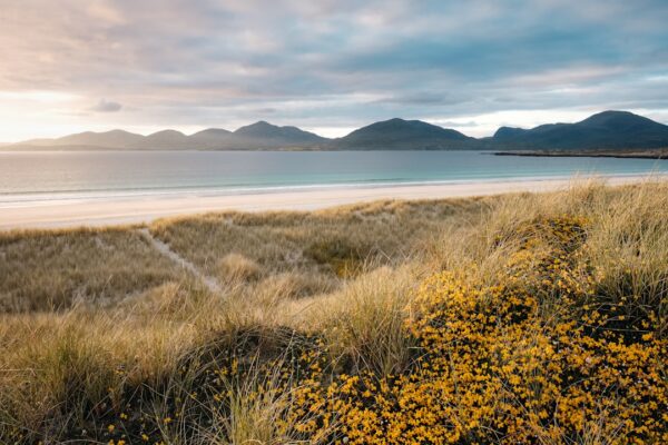 Photo Landscape photography