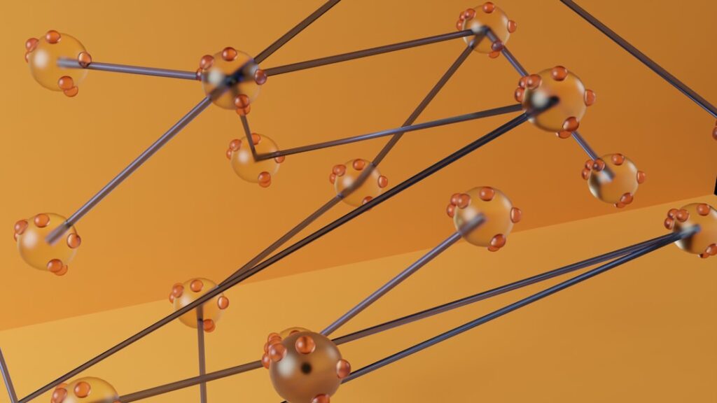 Photo Network Topology