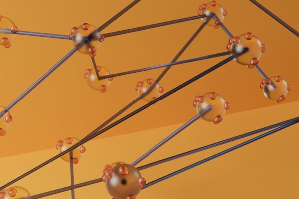 Photo Network Topology