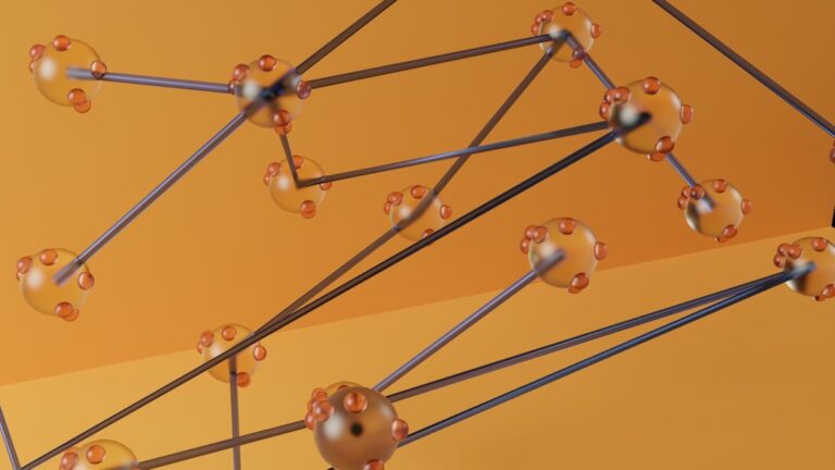 Photo Network Topology