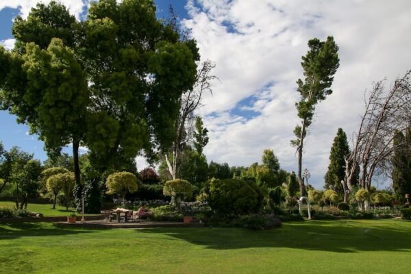 Photo Garden oasis
