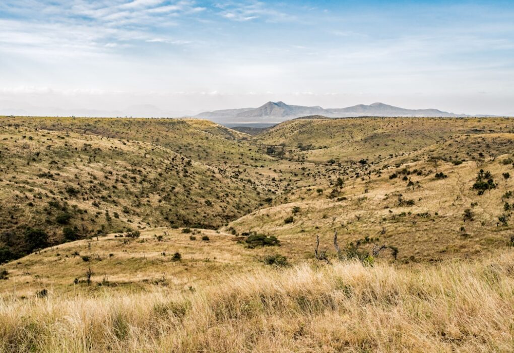 Photo African landscape
