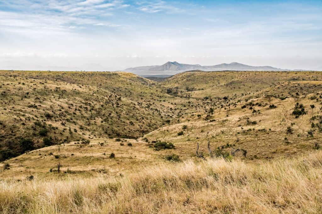 Photo African landscape
