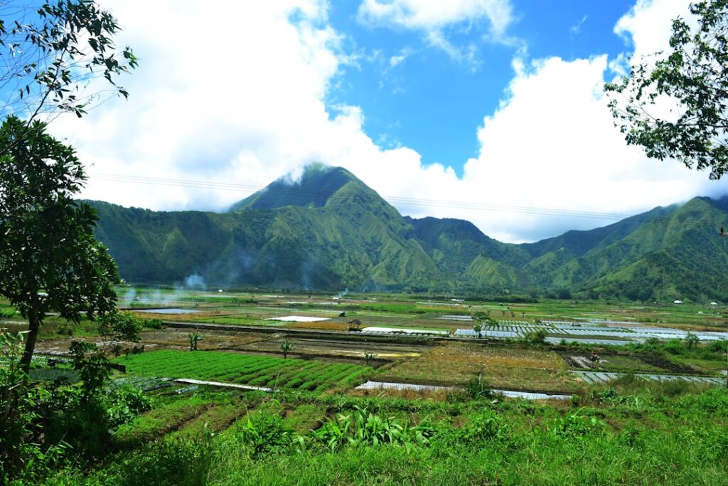 Photo Natural landscape