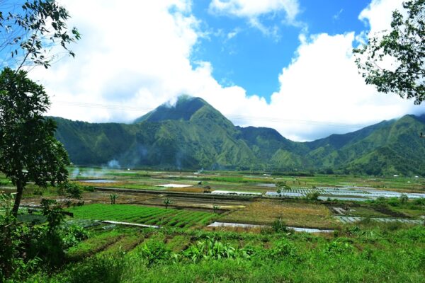 Photo Natural landscape