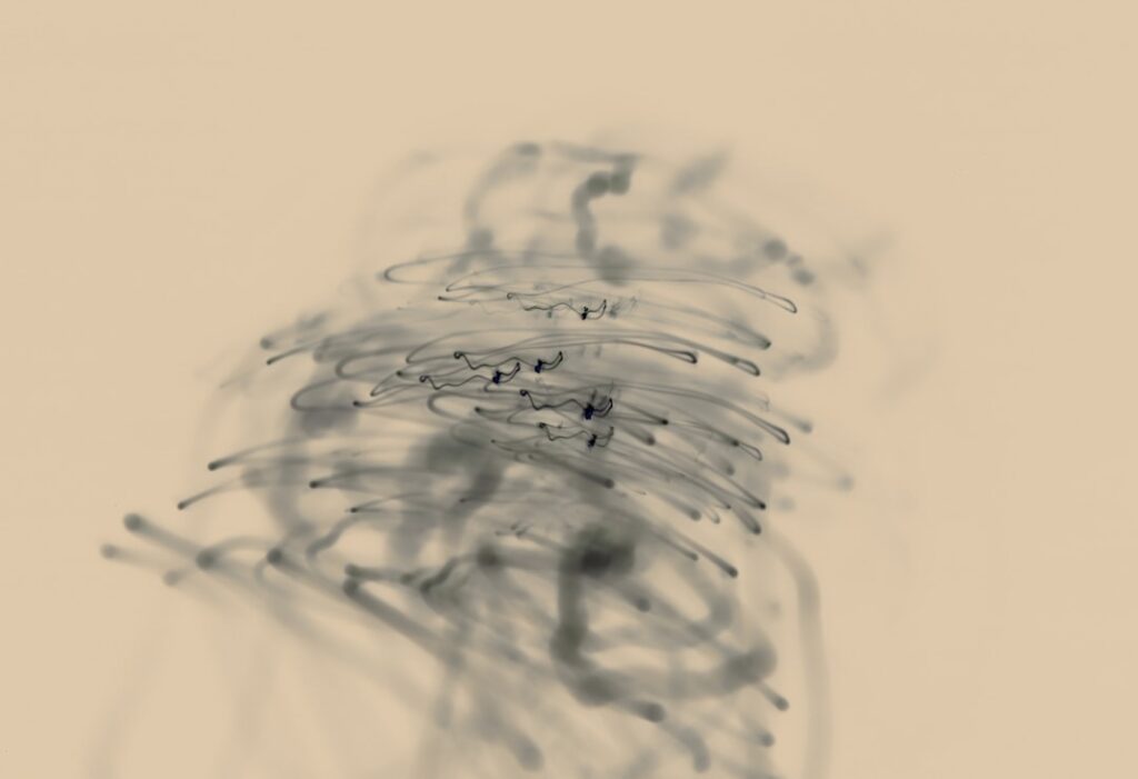 Photo Wireframe sketch