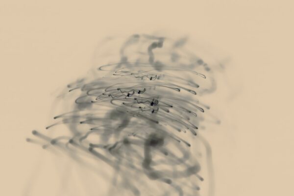 Photo Wireframe sketch