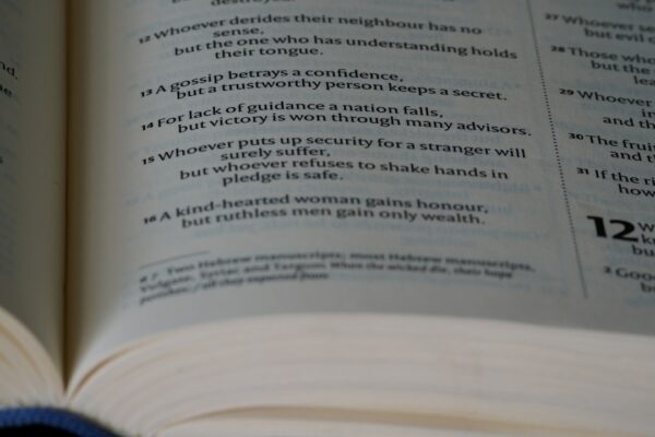 Photo Study guide