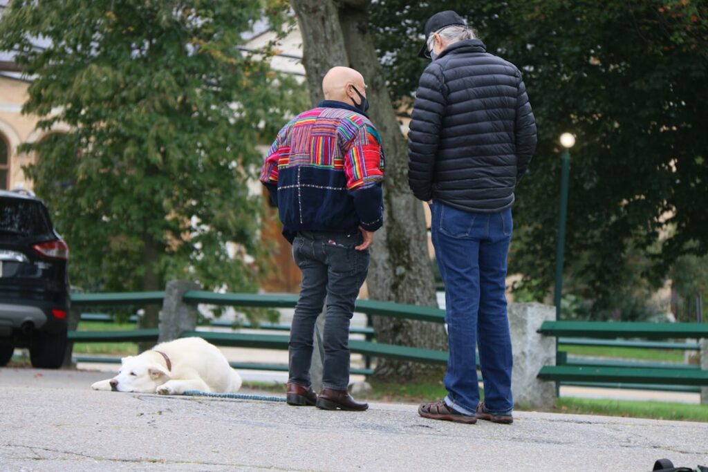 Photo Risk assessment