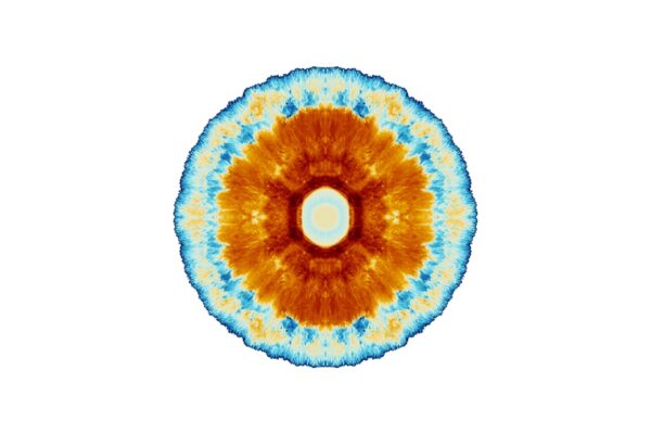 Photo Algorithm visualization
