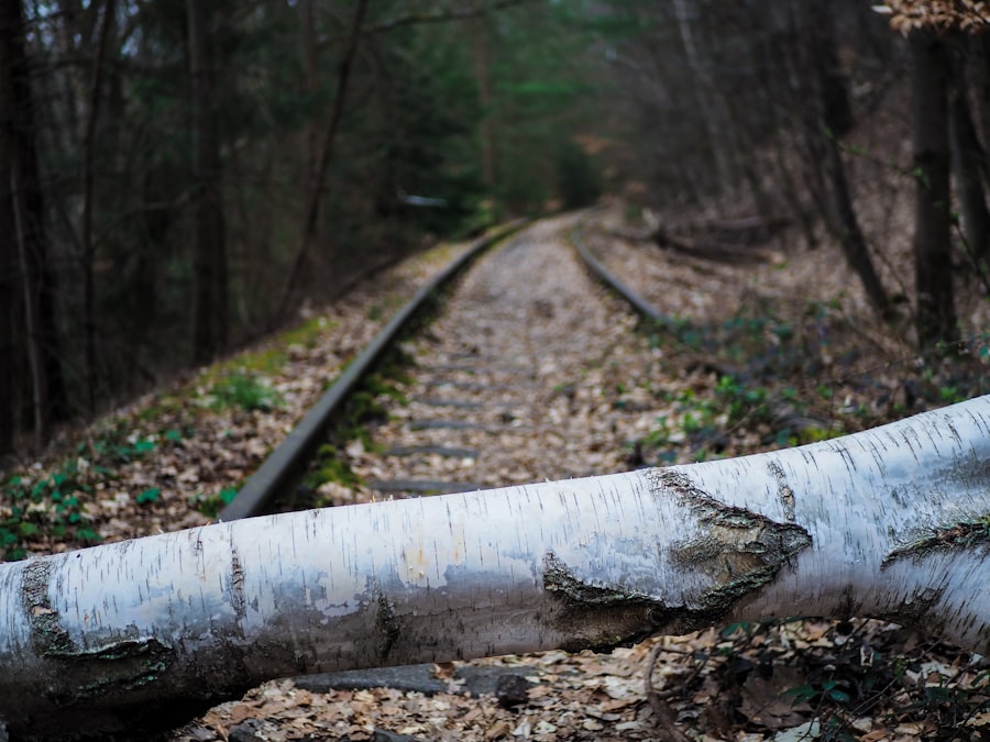 Automated Pipeline