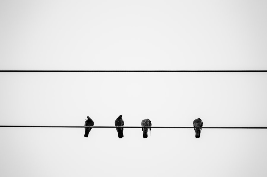 Paradigm shift