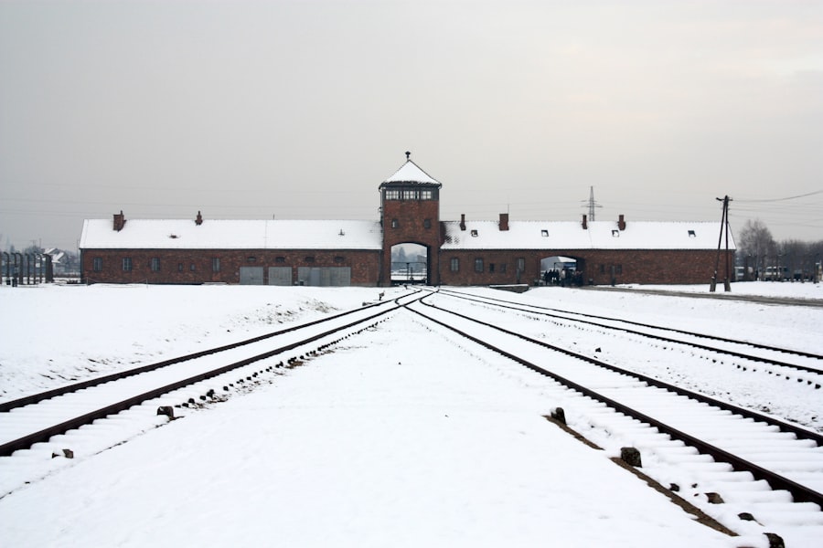 Holocaust survivor