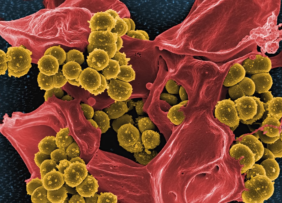 Microscopic organisms