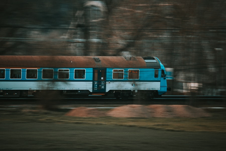 Train hobo