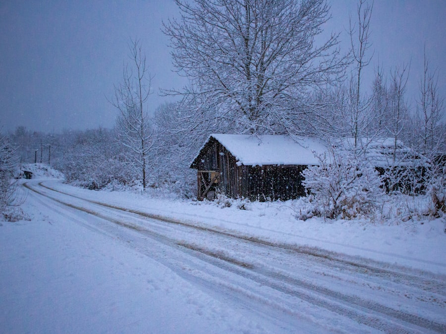 Russian countryside