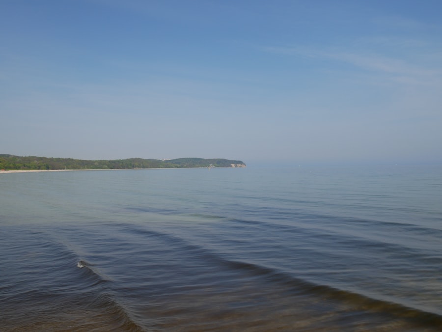 Coastal landscape