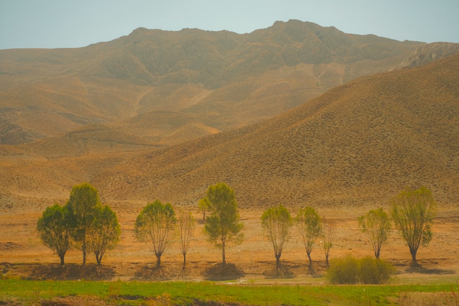 Afghan landscape