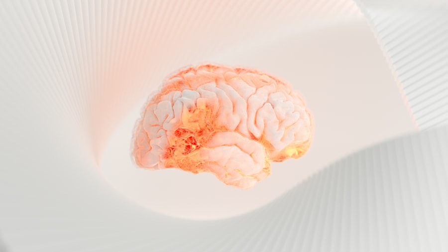 Brain-Gut Axis