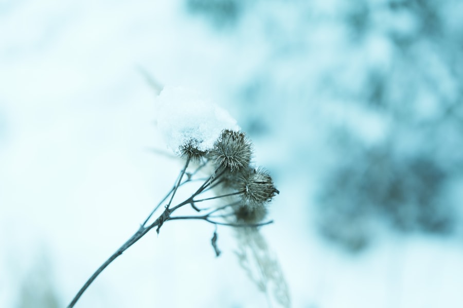 Illness as Metaphor