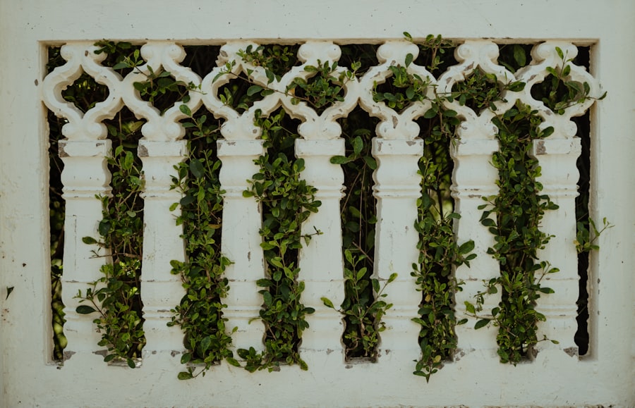Photo Ayurvedic herbs