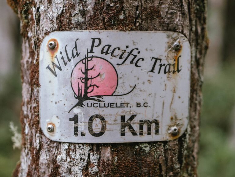 Photo Spice Route