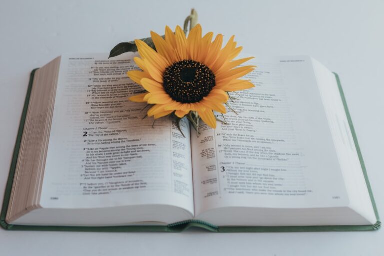 Photo Chronic Illness Support Book