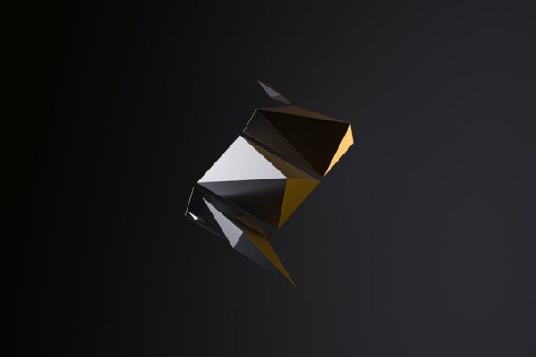 Photo Generative AI Projects