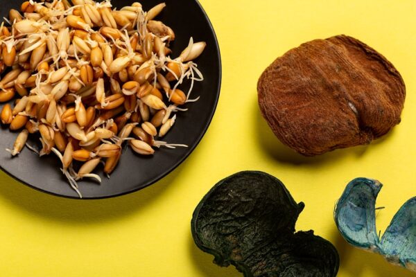 Photo Brain-boosting foods