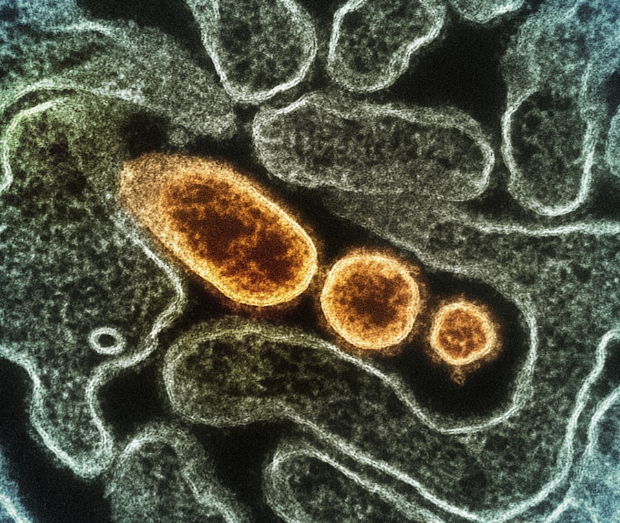 Photo Healthy gut bacteria