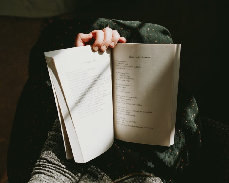 Photo Recovery Journal