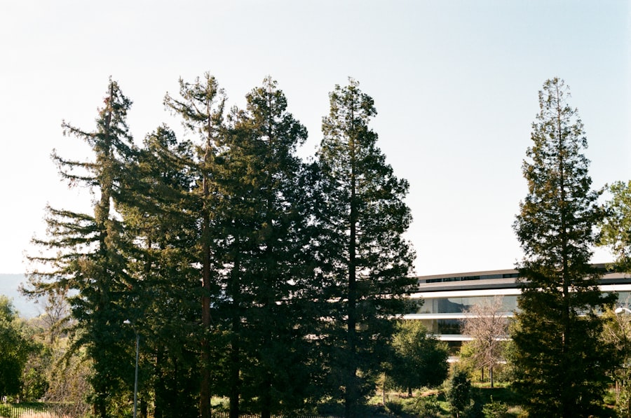 Photo Googleplex campus