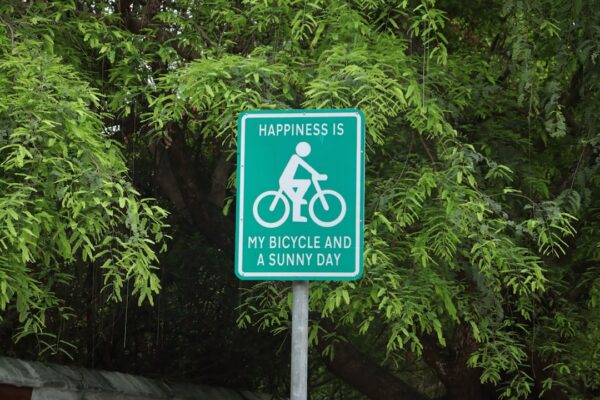 Photo Policy cycle