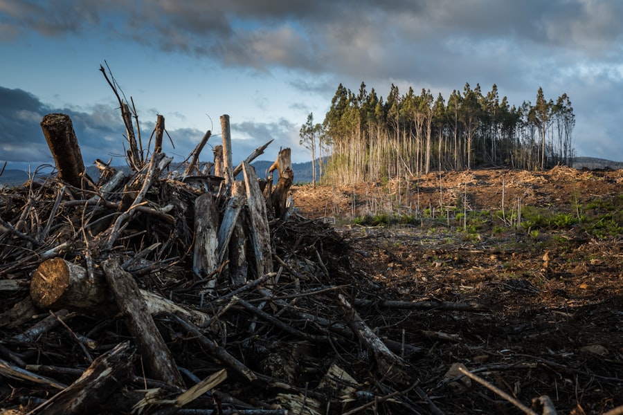 Photo Climate change