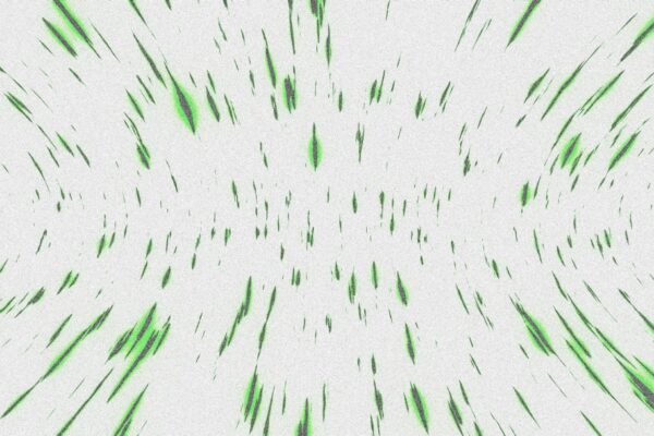 Photo Algorithm visualization