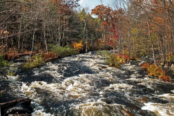 Photo River rapids