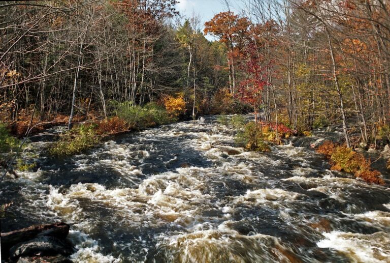 Photo River rapids