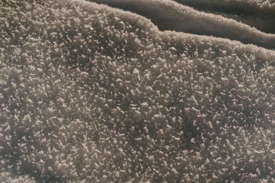 Photo Microscopic organisms