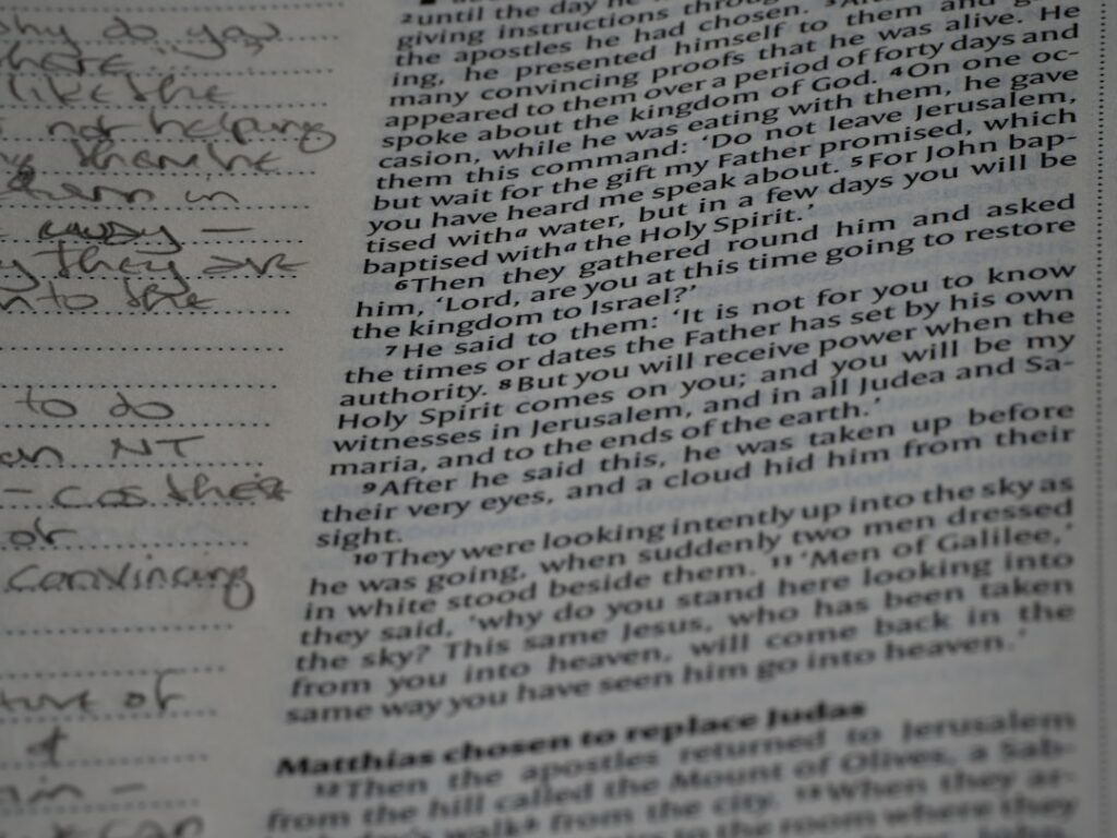 Photo Neuromarketing study