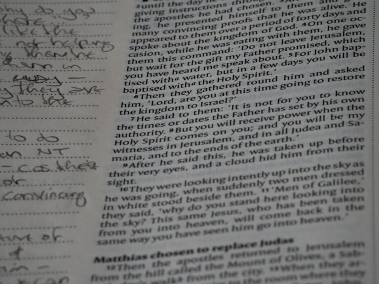 Photo Neuromarketing study