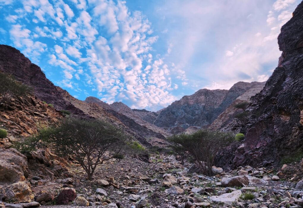 Photo Mountainscape