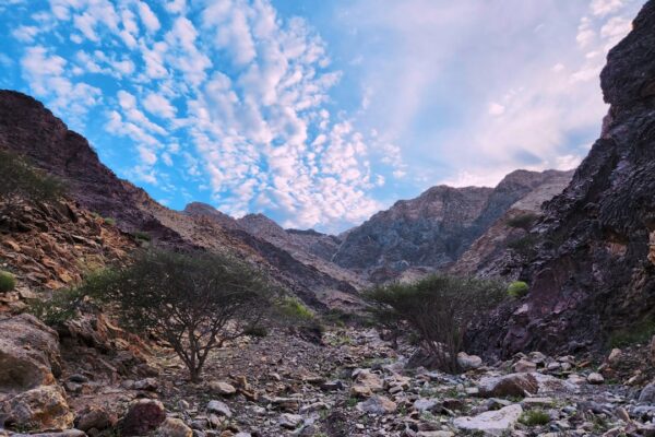 Photo Mountainscape